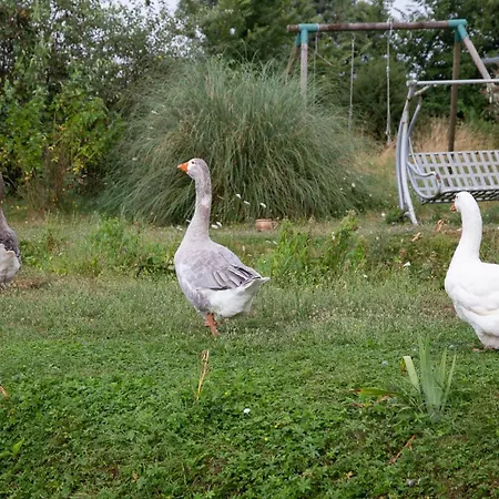 Panzió Un Havre De Paix A La Ferme *
